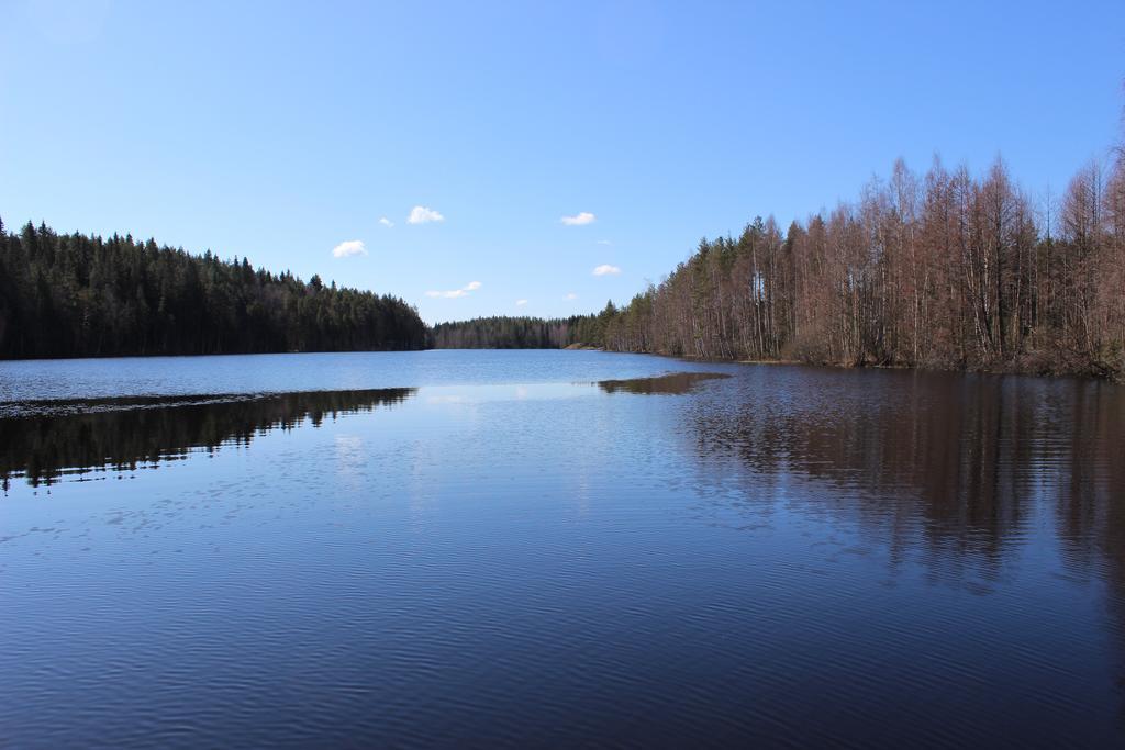 Holiday House By The Lake Villa Ristiina Buitenkant foto