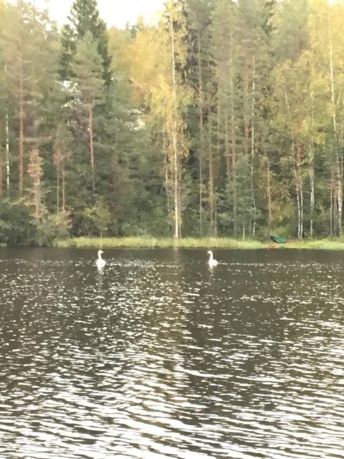 Holiday House By The Lake Villa Ristiina Buitenkant foto